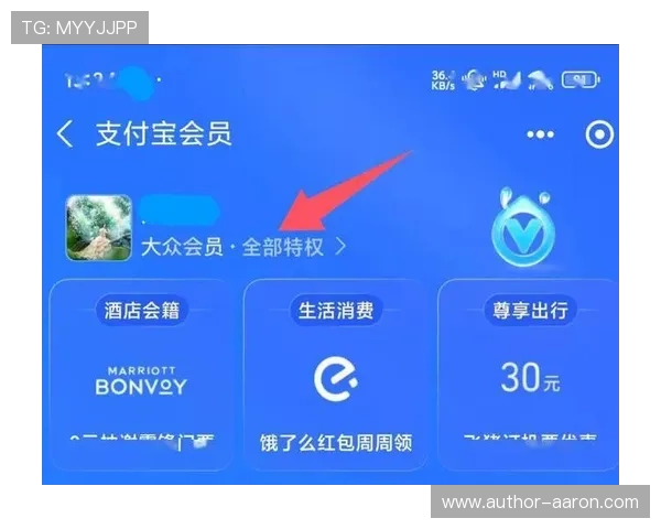 在99贵宾会中如何提升你的会员等级，享受更多专属特权和个性化定制的尊贵体验