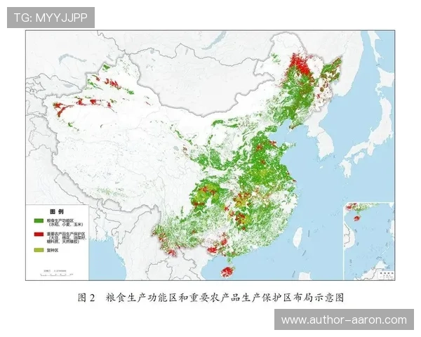 深入解读葡萄牙与刚果民主共和国首发阵容的战术安排与比赛影响